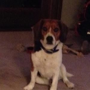 Meet your Posher, Francine